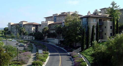Laguna Beach Oc Neighborhood Moves